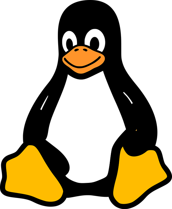 Linux Icon